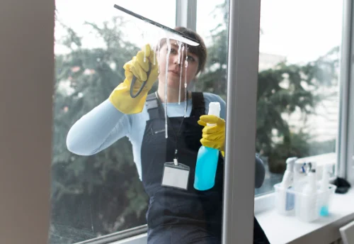 Nettoyage de vitres intérieures et extérieures à Lumio